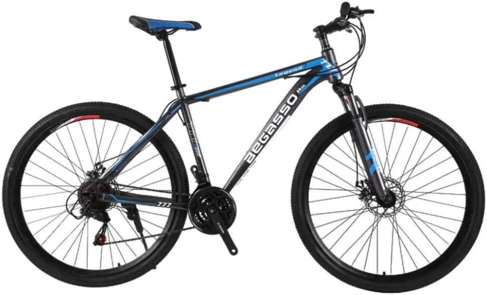 21-Speed Men's Mountain Bike Double Disc Brake 29 Inches All-Terrain City Bikes Adults Only Outdoor Cycling Hard Tail Front Suspension.C