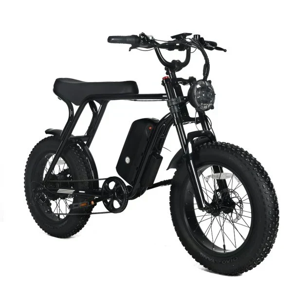 Electric Mountain Bike for Adults | 20 x 4.0 Fat Tires. 1000W Motor. 48V 20Ah Removable Battery. Max Speed 45MPH. Shi Mano 7-Speed for Off-Road Adventures