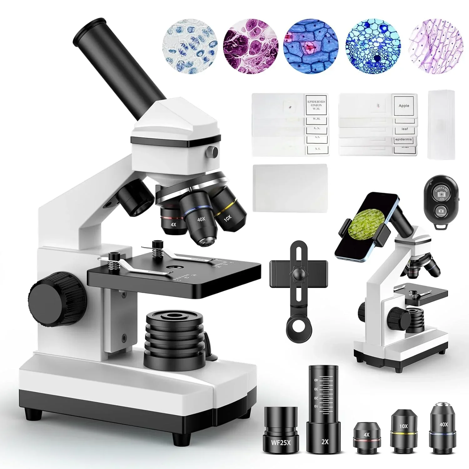 Compound Microscope for Adults & Kids - 100X-2000X High-Power Biological Microscope for Students. School Lab & Home Education. with Slides Set & Phone Adapter (White)